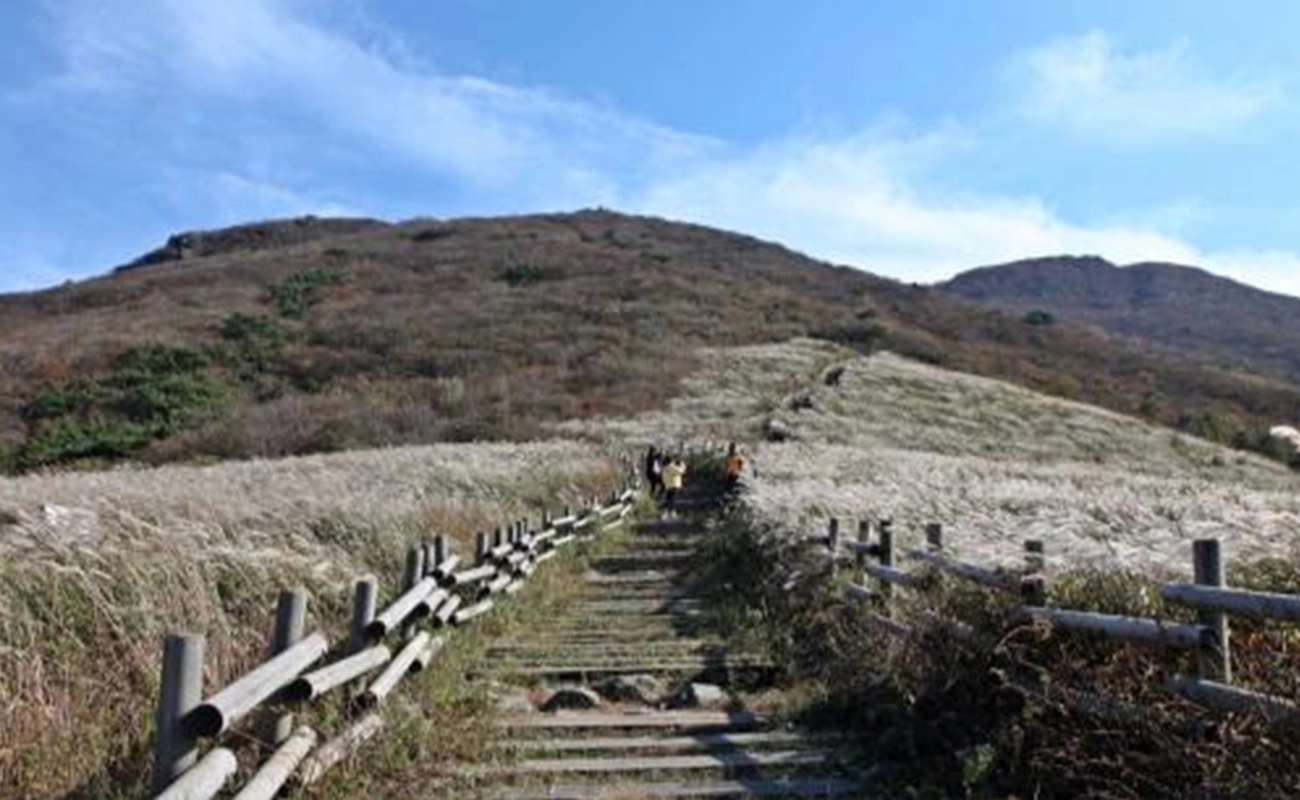 에코힐링 프리미엄